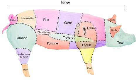 cochon anglais|cochon définition.